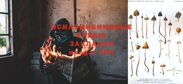 ПСИЛОЦИБИНОВЫЕ ГРИБЫ Богородицк